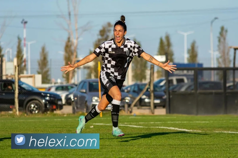 开云平台生态图